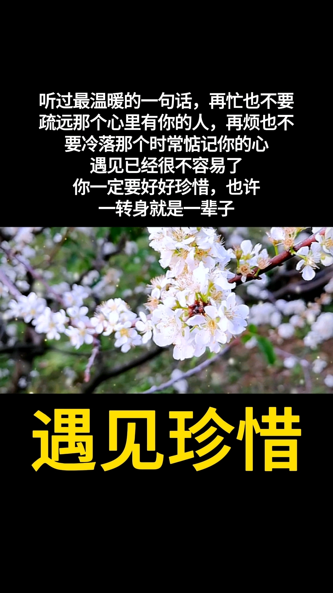 温暖的一句话(温暖的一句话韩剧免费观看)