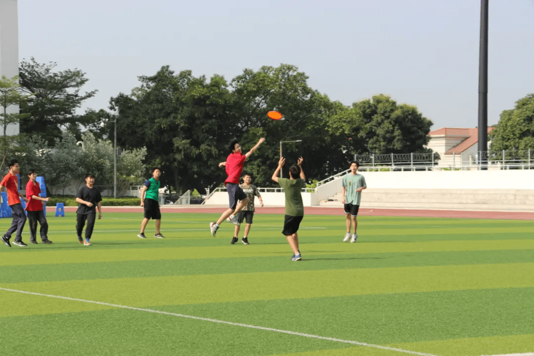 美洲狮学校(美洲狮学校电影下载)