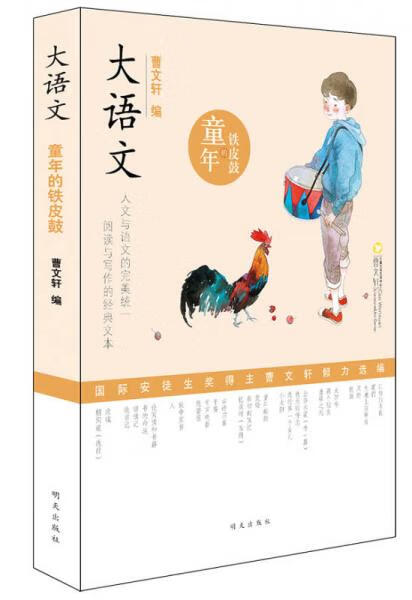 铁皮鼓(铁皮鼓电影简介)