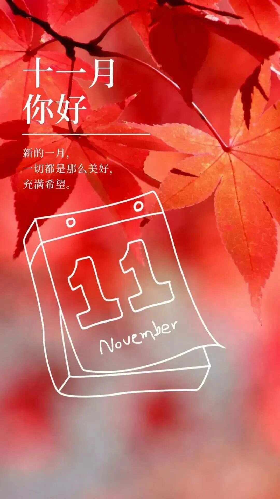 十一天十一夜5(十一天十一夜5 11天11夜5 正片)