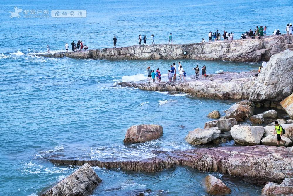 海上情迷(海上情迷下载)